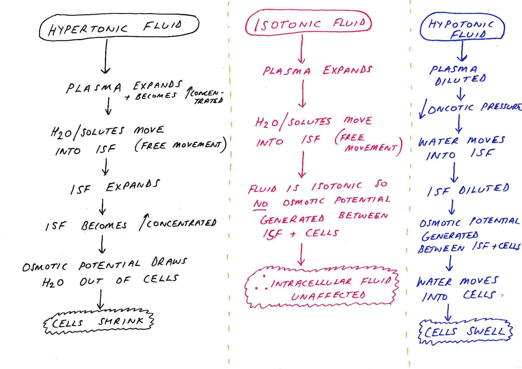 passage of drugs into various body fluid compartments passage of drugs into various body fluid compartments